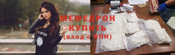 индика Няндома