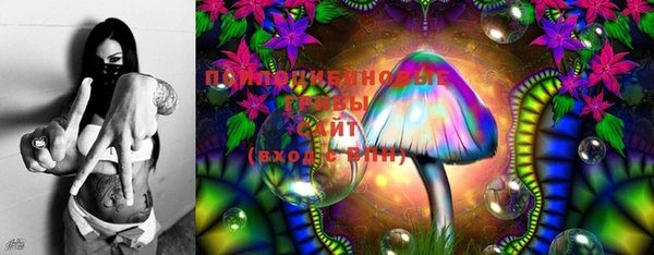 ГАЛЛЮЦИНОГЕННЫЕ ГРИБЫ Абдулино