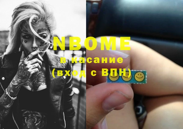 индика Няндома
