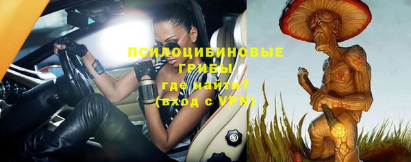 ГАЛЛЮЦИНОГЕННЫЕ ГРИБЫ Абдулино