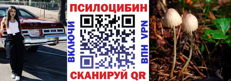 сайты даркнета Telegram  Тбилисская  Псилоцибиновые грибы MAGIC MUSHROOMS  наркота 